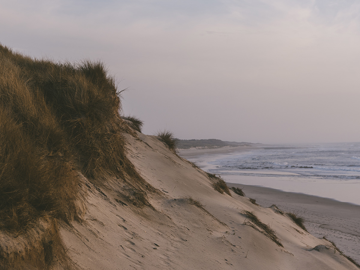 Dünen am Strand - Symobolisieren die Verbindung ganzheitlicher Schmerztherapie