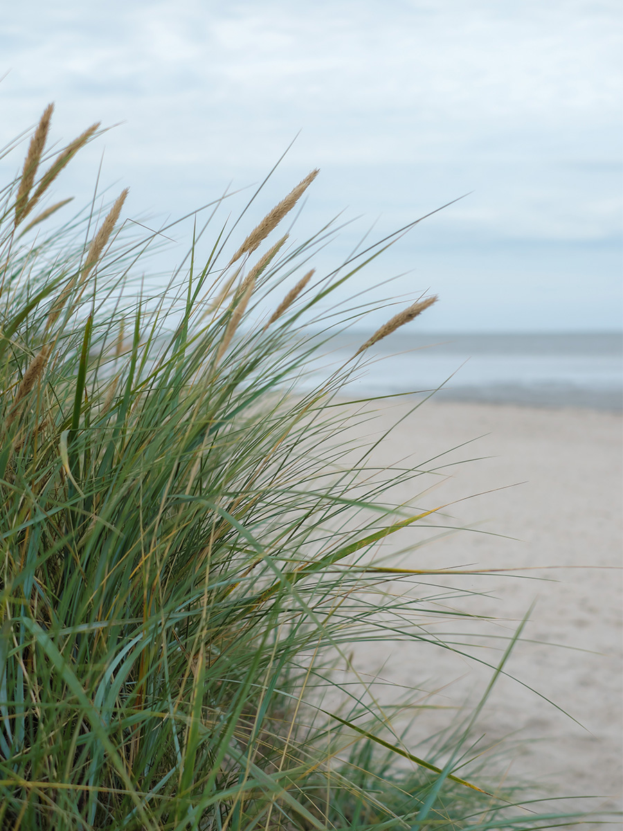 Das Meer hinter den Dünen.